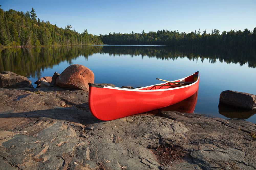 Clean Lake Water